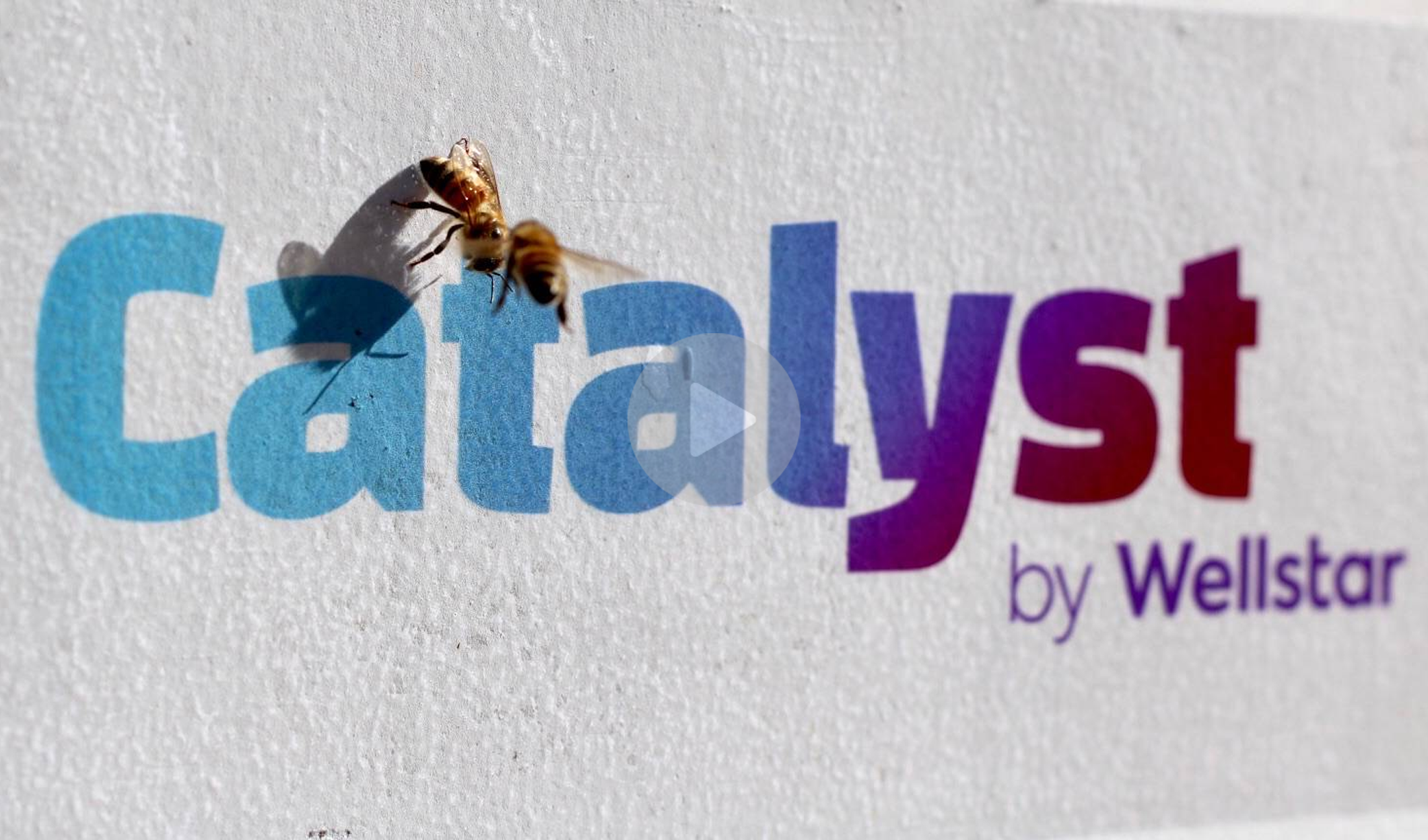 Bee over Catalyst logo and play button.