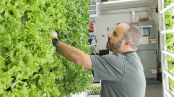 Wellstar team member inside our hydroponic farm.