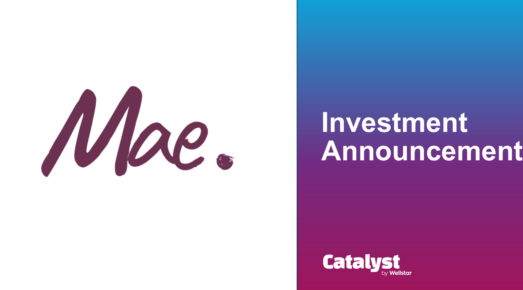 Investment graphic for Mae.